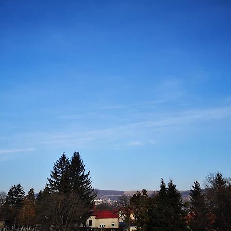 Villa-Hotel Escala Cluj-Napoca Luaran gambar